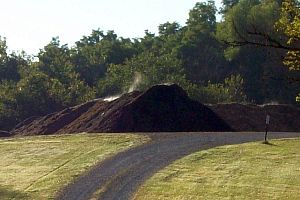The steam rises from the compost pile in the cool morning air.